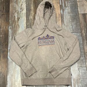 Patagonia Men's Gray Hoodie